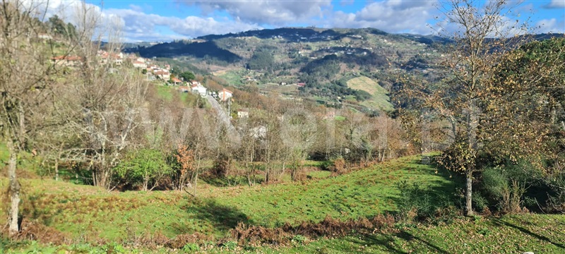 Quinta  Marco de Canaveses, Penhalonga e Paços de Gaiolo - 1300628 - 17