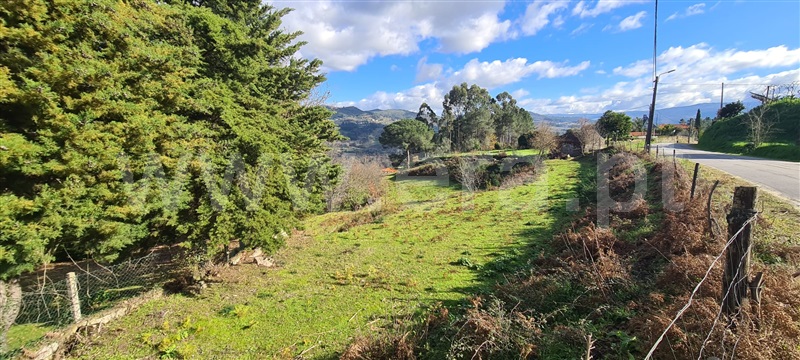 Quinta  Marco de Canaveses, Penhalonga e Paços de Gaiolo - 1300628 - 18