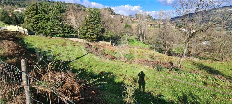 Quinta  Marco de Canaveses, Penhalonga e Paços de Gaiolo - 1300628 - 19