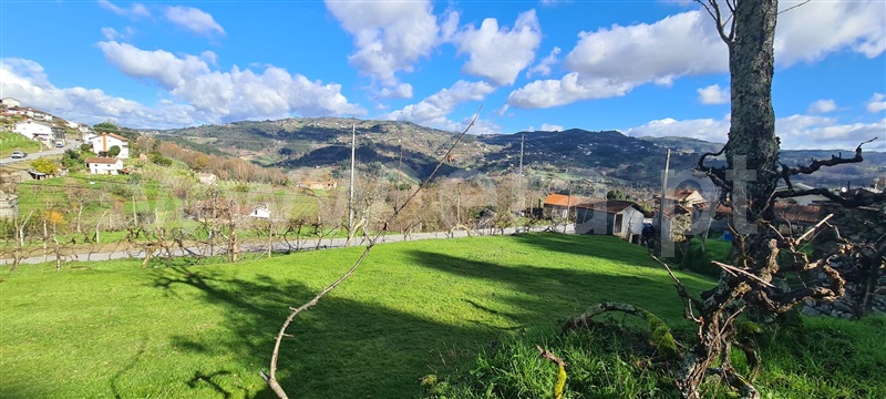 Quinta  Marco de Canaveses, Penhalonga e Paços de Gaiolo - 1300628 - 21