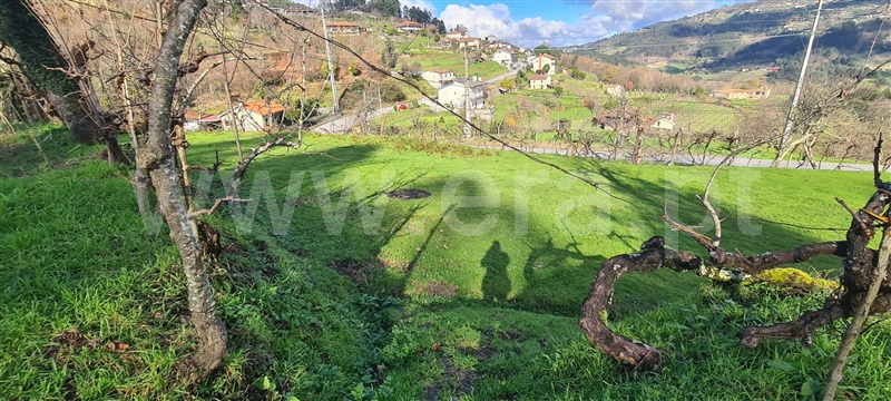Quinta  Marco de Canaveses, Penhalonga e Paços de Gaiolo - 1300628 - 22