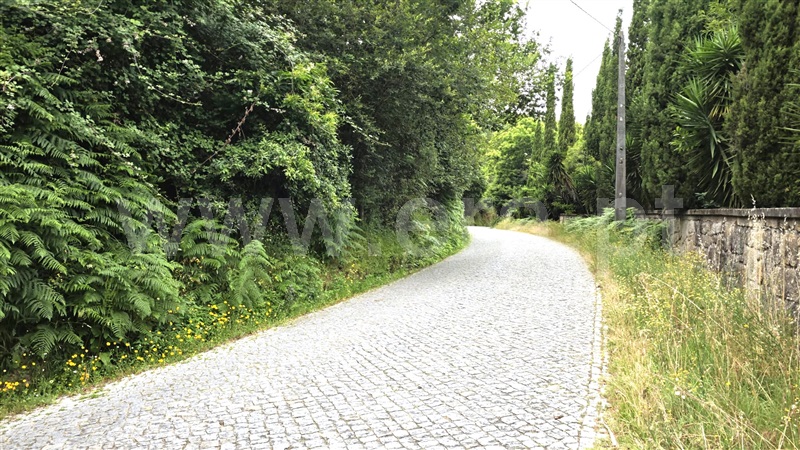 Quinta  com Agrícola Marco de Canaveses, Rio Douro - 1487647 - 1