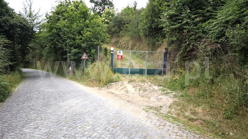 Quinta  com Agrícola Marco de Canaveses, Rio Douro - 1487647 - 3