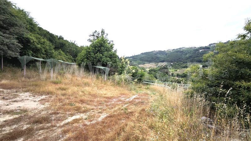 Quinta  com Agrícola Marco de Canaveses, Rio Douro - 1487647 - 5
