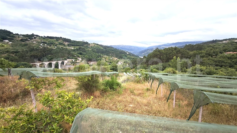 Quinta  com Agrícola Marco de Canaveses, Rio Douro - 1487647 - 7