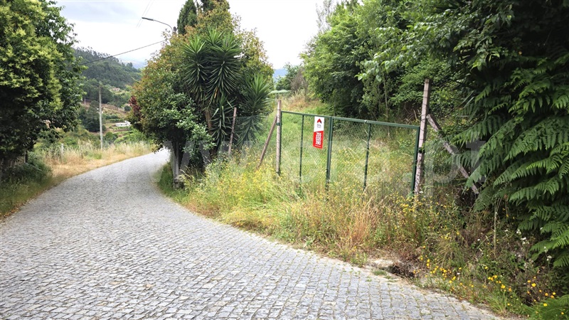 Quinta  com Agrícola Marco de Canaveses, Rio Douro - 1487647 - 8