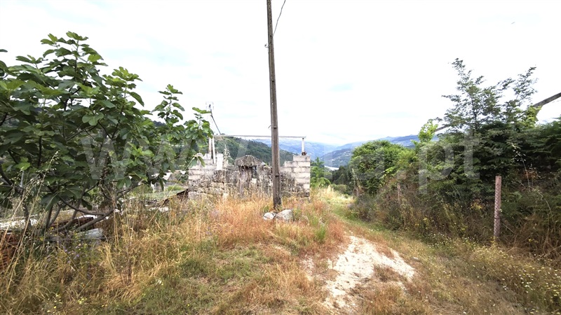Quinta  com Agrícola Marco de Canaveses, Rio Douro - 1487647 - 12