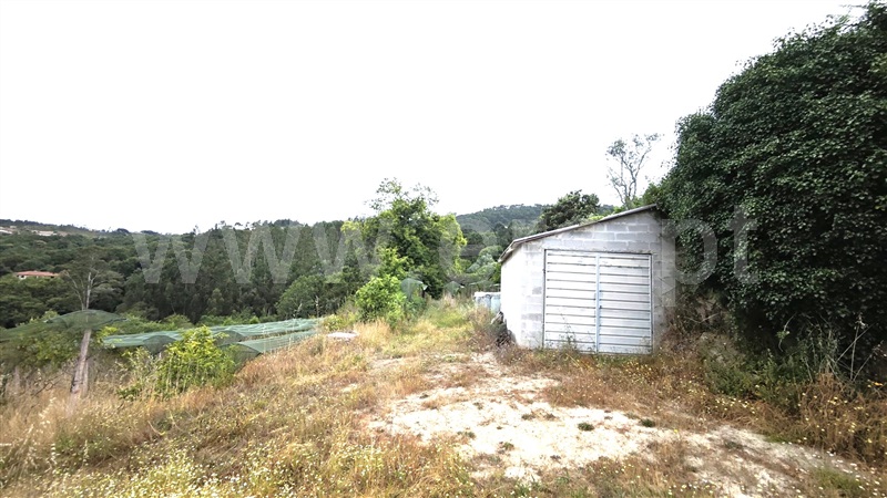 Quinta  com Agrícola Marco de Canaveses, Rio Douro - 1487647 - 17