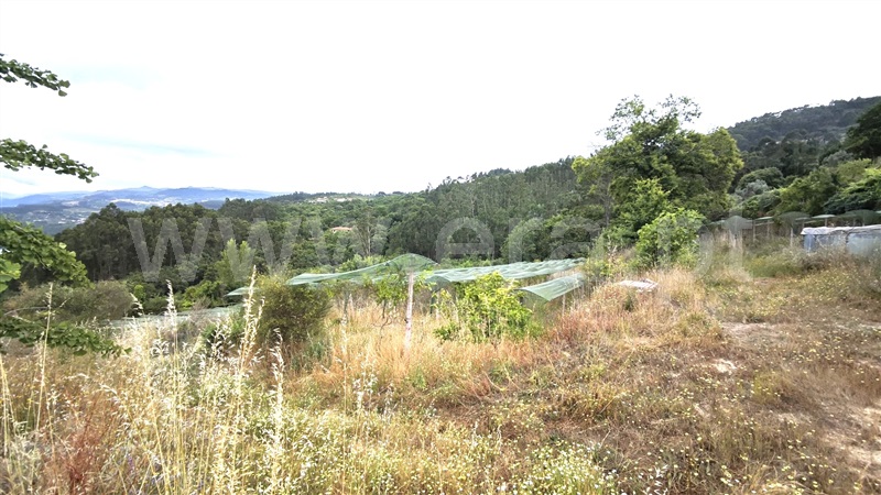 Quinta  com Agrícola Marco de Canaveses, Rio Douro - 1487647 - 18
