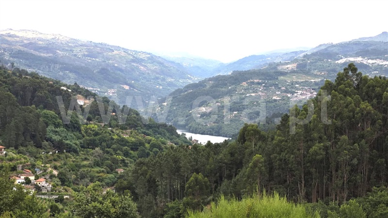 Quinta / Marco de Canaveses, Rio Douro