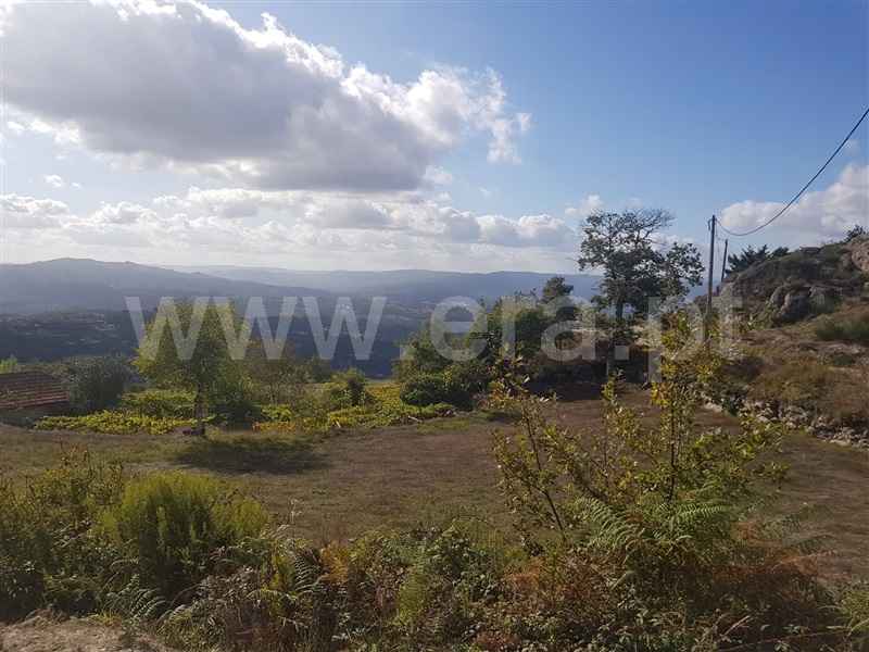 Quinta  Marco de Canaveses, Soalhães - 1044312 - 2