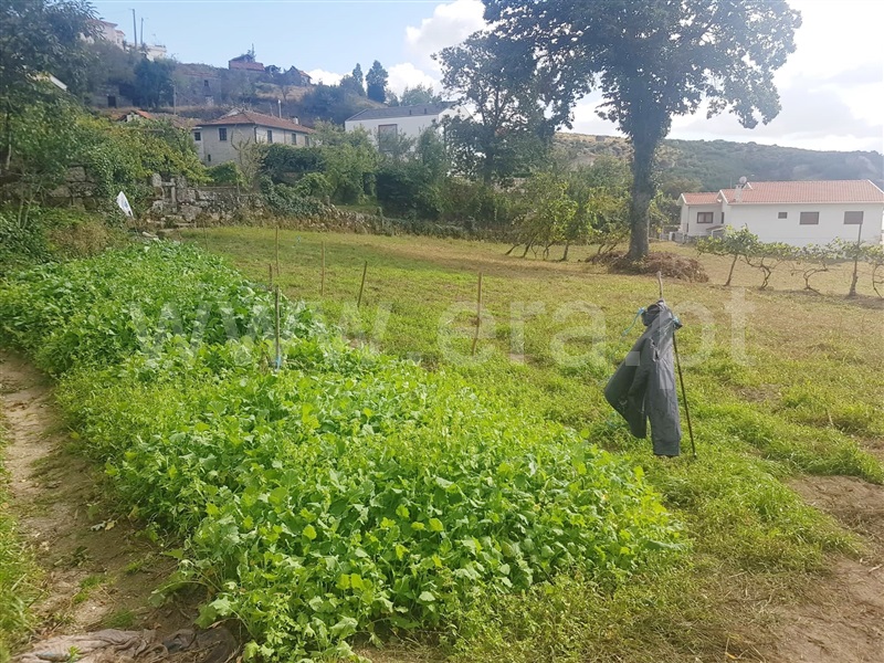 Quinta  Marco de Canaveses, Soalhães - 1044312 - 9