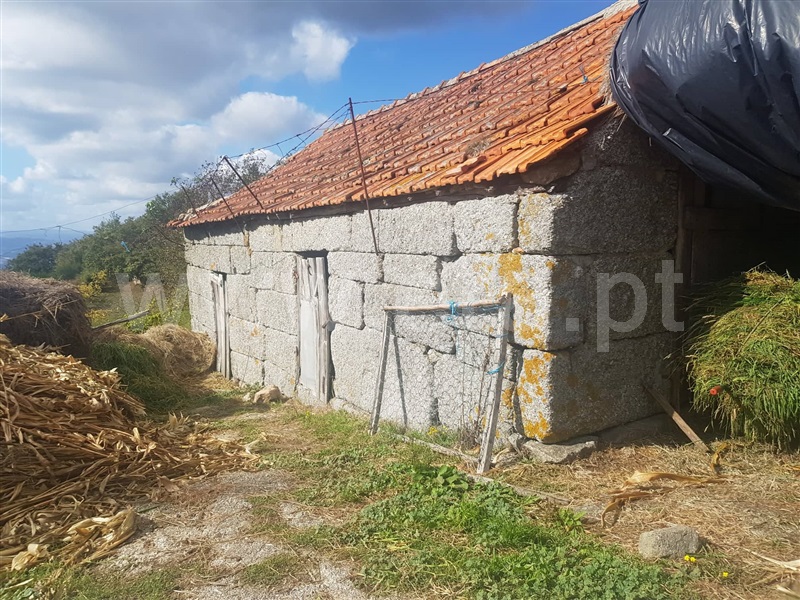 Quinta  Marco de Canaveses, Soalhães - 1044312 - 14