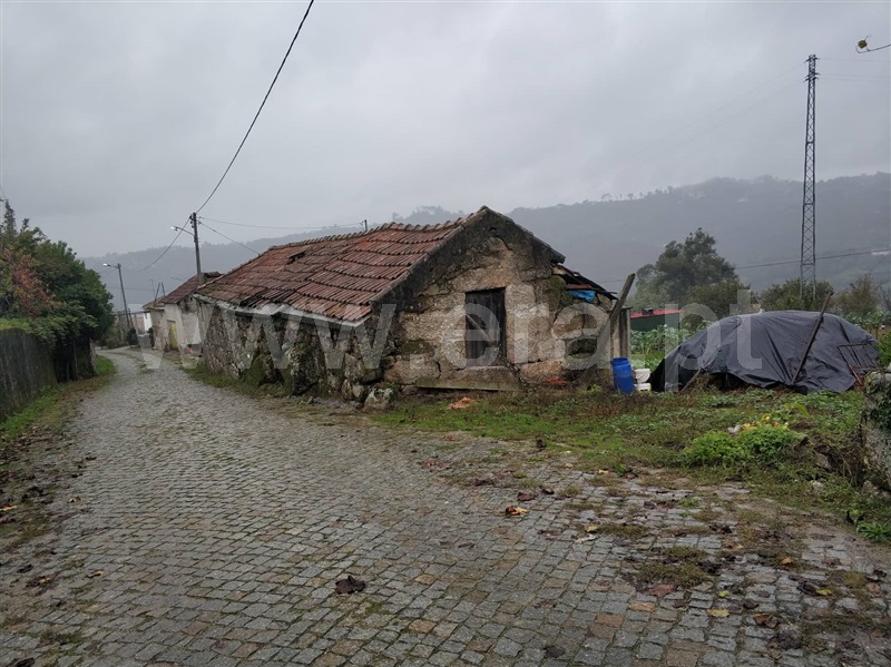 Quinta  Marco de Canaveses, Várzea, Aliviada e Folhada - 1045315 - 3