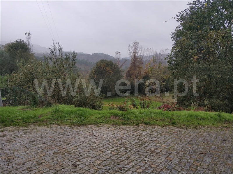 Quinta  Marco de Canaveses, Várzea, Aliviada e Folhada - 1045315 - 4