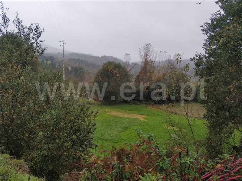 Quinta  Marco de Canaveses, Várzea, Aliviada e Folhada - 1045315 - 7