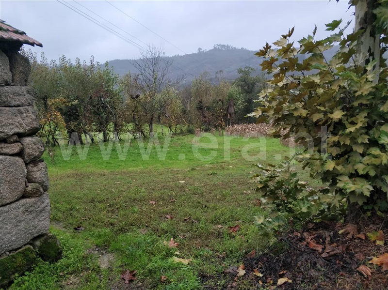 Quinta  Marco de Canaveses, Várzea, Aliviada e Folhada - 1045315 - 8