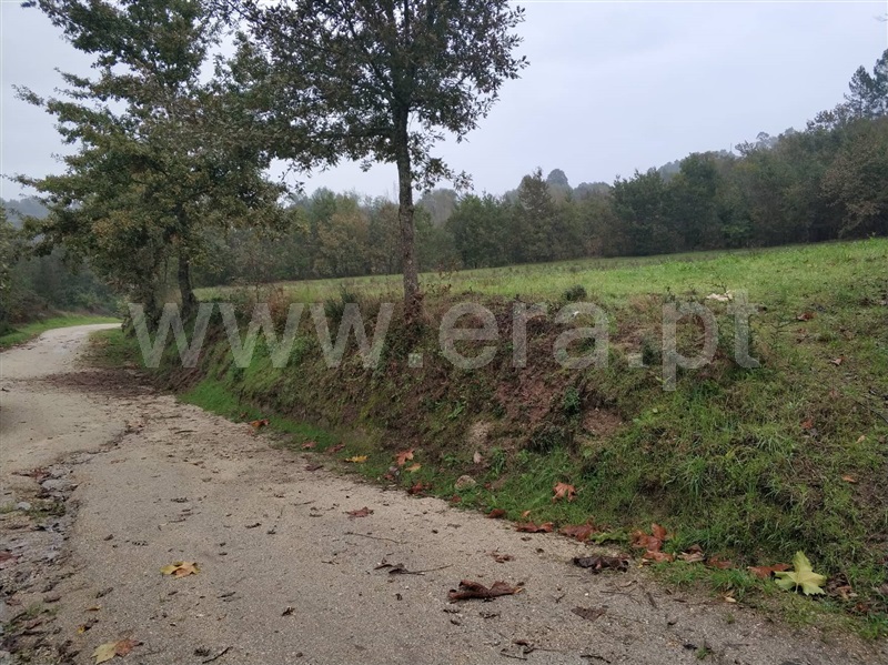Quinta  Marco de Canaveses, Várzea, Aliviada e Folhada - 1045315 - 9