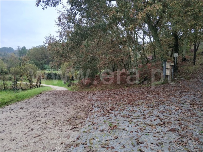 Quinta  Marco de Canaveses, Várzea, Aliviada e Folhada - 1045315 - 10