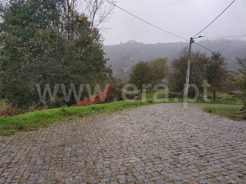 Quinta  Marco de Canaveses, Várzea, Aliviada e Folhada - 1045315 - 12