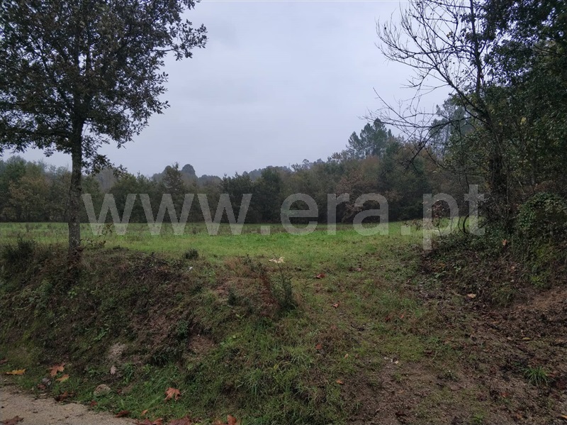 Quinta  Marco de Canaveses, Várzea, Aliviada e Folhada - 1045315 - 14