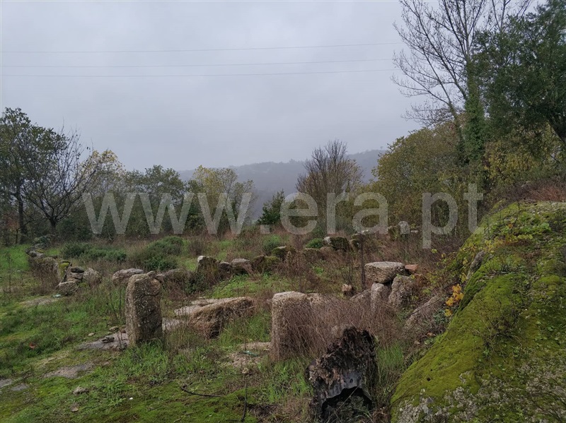 Quinta  Marco de Canaveses, Várzea, Aliviada e Folhada - 1045315 - 15