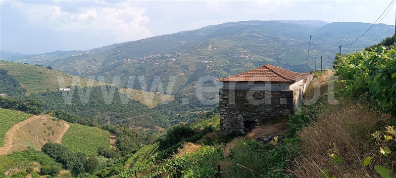 Quinta  Mesão Frio, Cidadelhe - 1485002 - 18