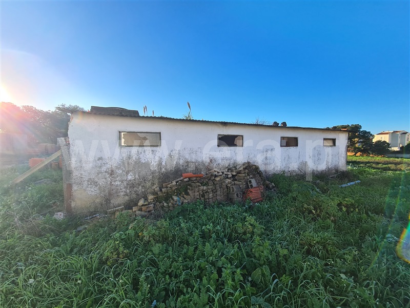 Quinta  Moita, Alhos Vedros - 1372161 - 4