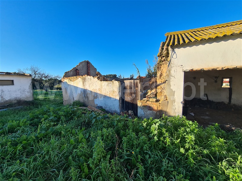 Quinta  Moita, Alhos Vedros - 1372161 - 6