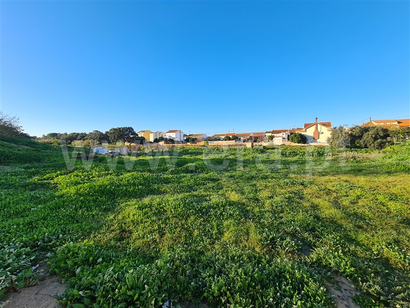 Quinta  Moita, Alhos Vedros - 1372161 - 9