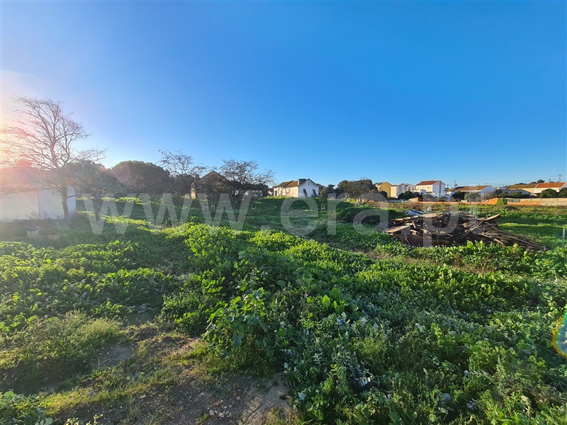 Quinta  Moita, Alhos Vedros - 1372161 - 10