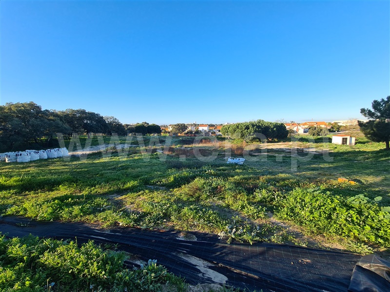 Quinta  Moita, Alhos Vedros - 1372161 - 12