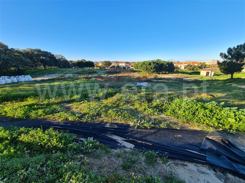 Quinta  Moita, Alhos Vedros - 1372161 - 13