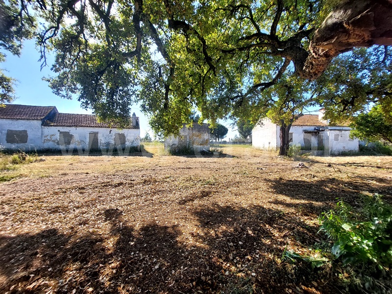Quinta / Moita, Alhos Vedros