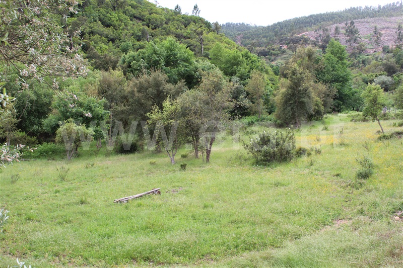 Quinta  Monchique, Marmelete - 1011622 - 7