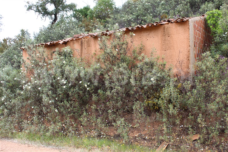Quinta  Monchique, Marmelete - 1011622 - 5