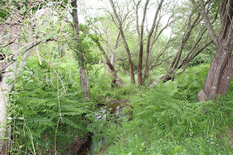 Quinta  Monchique, Marmelete - 1011622 - 10
