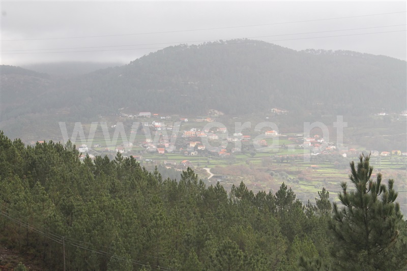 Quinta  Mondim de Basto, Bilhó - 1212063 - 10