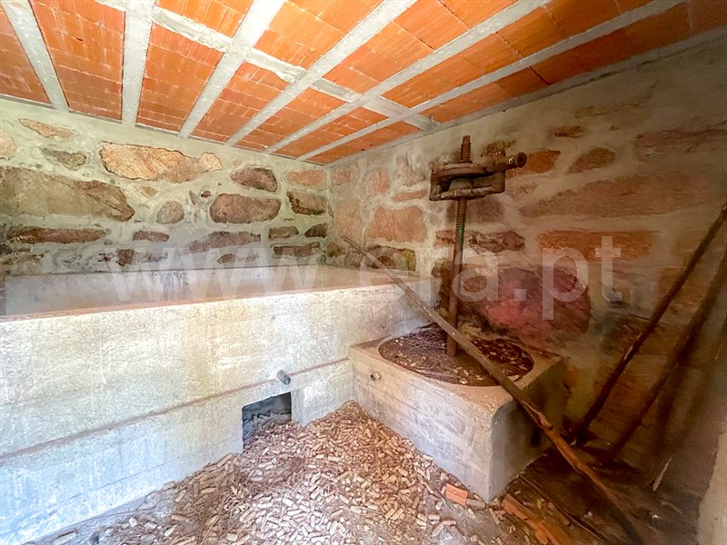 Quintinha  Mondim de Basto - 1251393 - 5