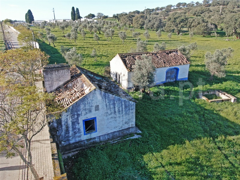 Quinta / Montemor-o-Novo, Santiago do Escoural