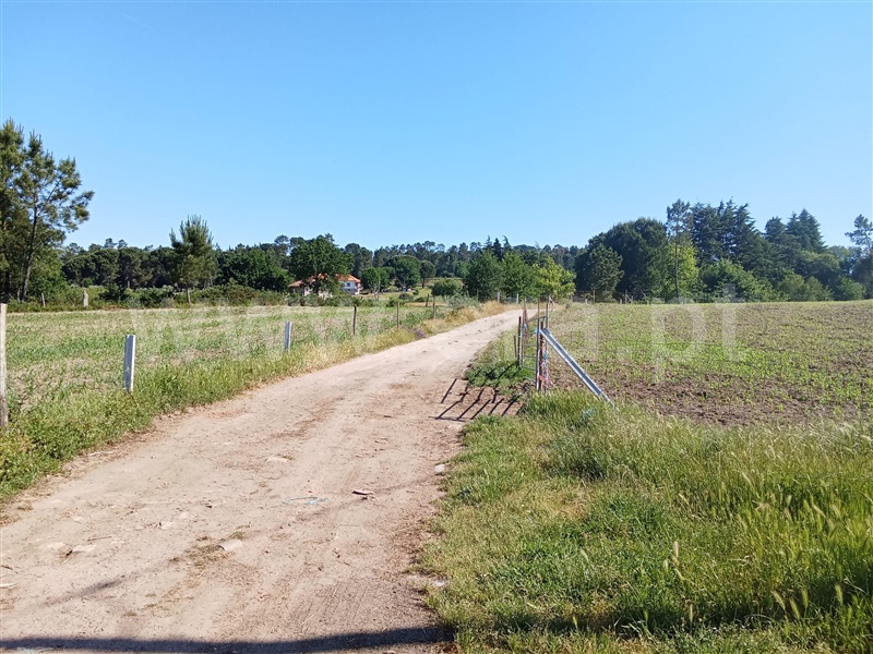 Quinta / Nelas, Carvalhal Redondo e Aguieira