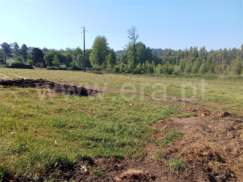 Quinta  Nelas, Carvalhal Redondo e Aguieira - 1484113 - 2