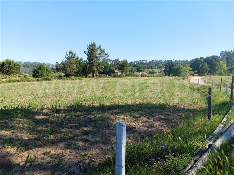 Quinta  Nelas, Carvalhal Redondo e Aguieira - 1484113 - 3