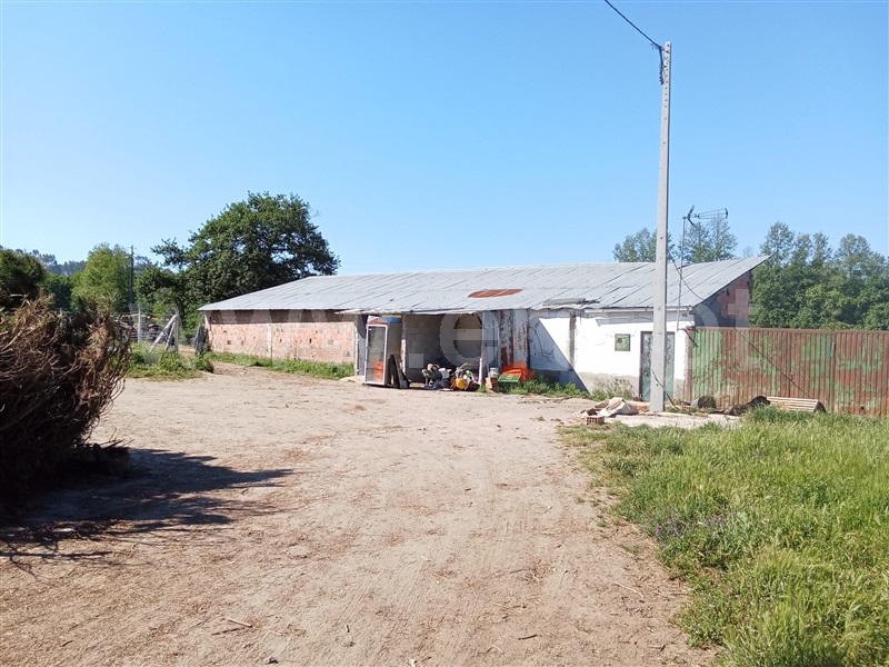 Quinta  Nelas, Carvalhal Redondo e Aguieira - 1484113 - 5