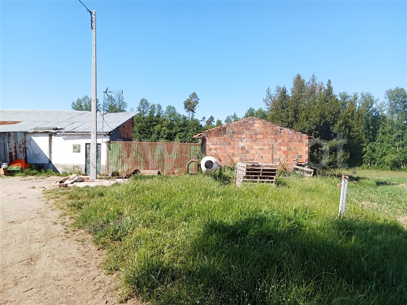 Quinta  Nelas, Carvalhal Redondo e Aguieira - 1484113 - 6