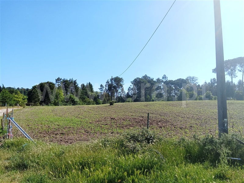 Quinta  Nelas, Carvalhal Redondo e Aguieira - 1484113 - 8
