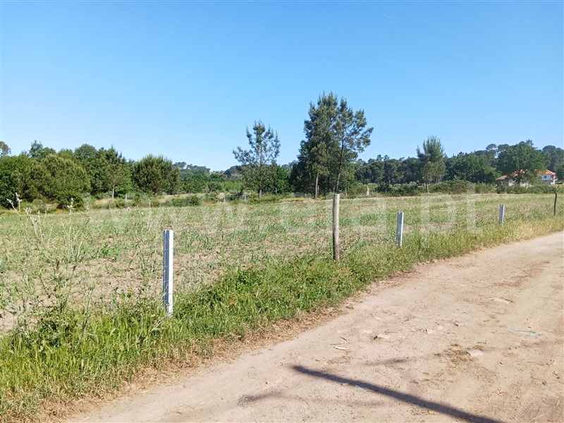 Quinta  Nelas, Carvalhal Redondo e Aguieira - 1484113 - 9