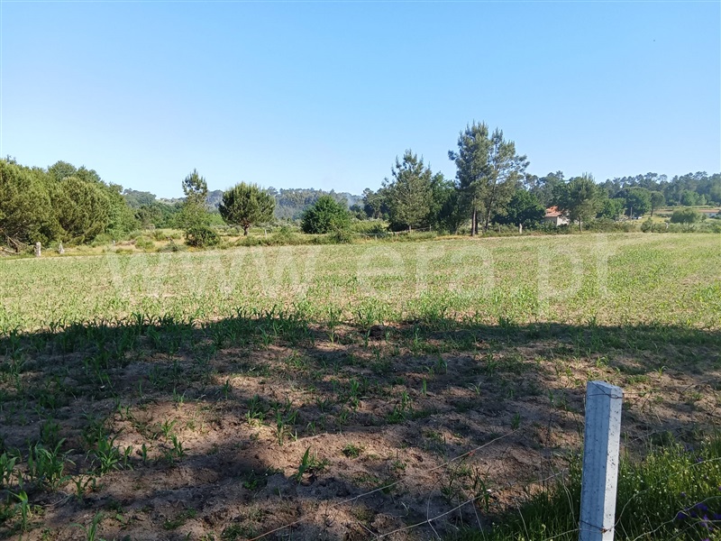 Quinta  Nelas, Carvalhal Redondo e Aguieira - 1484113 - 11