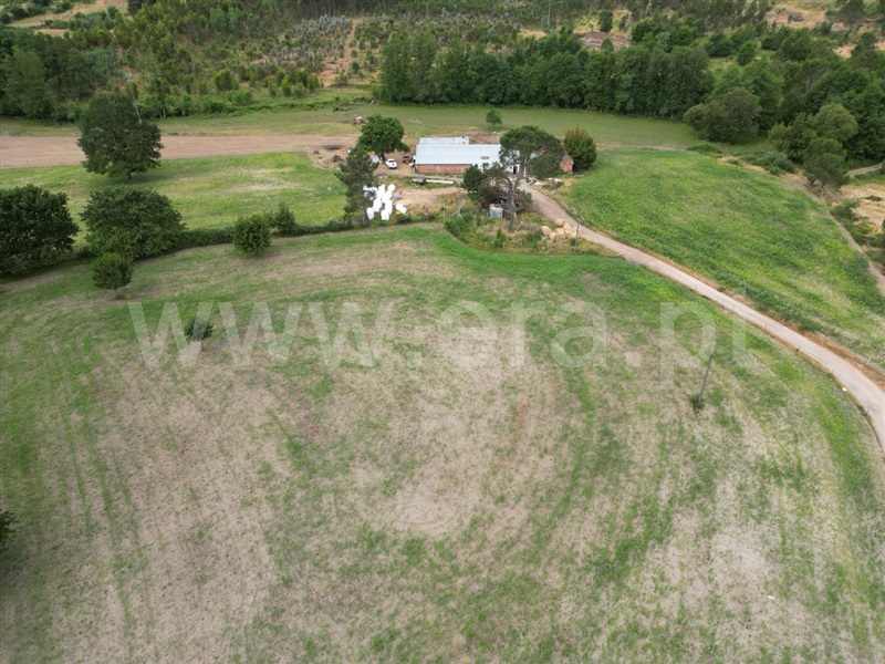 Quinta  com Agrícola Nelas, Carvalhal Redondo e Aguieira - 1484113 - 13