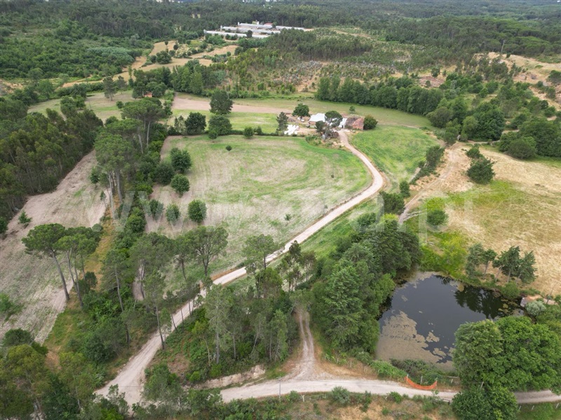 Quinta  com Agrícola Nelas, Carvalhal Redondo e Aguieira - 1484113 - 14